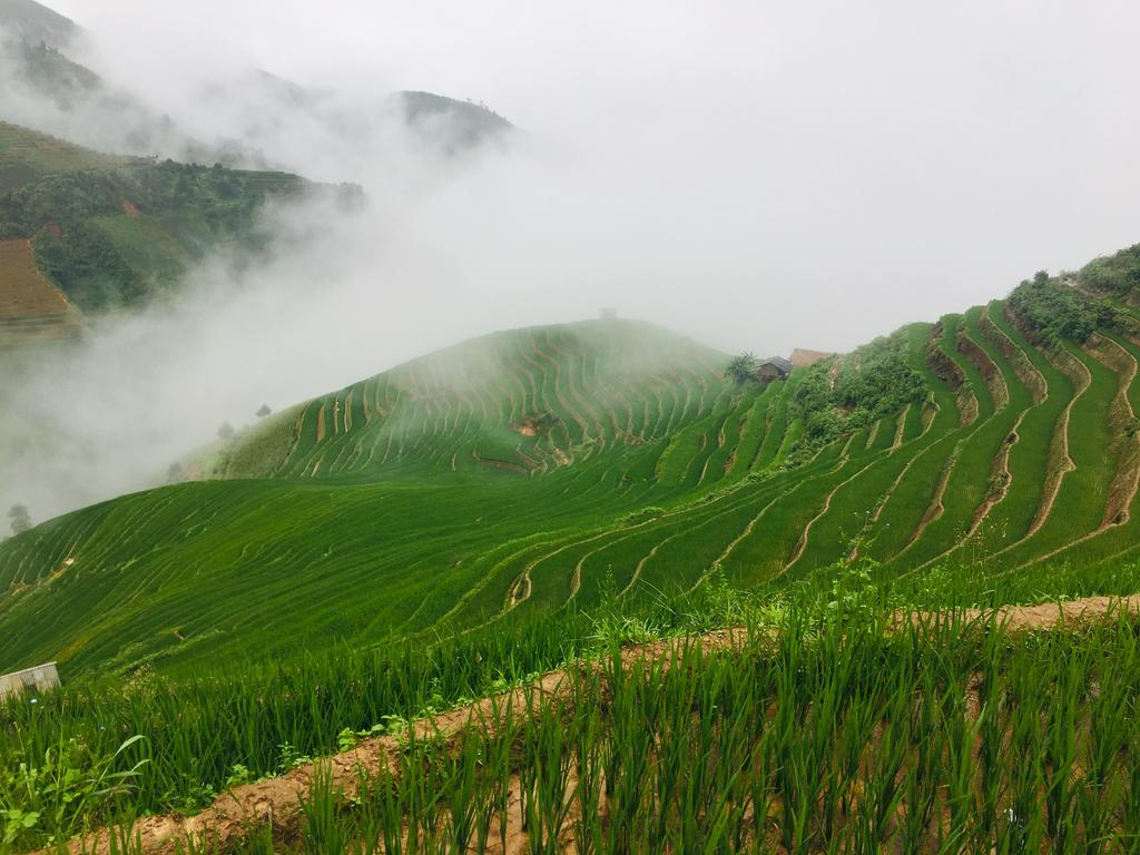 Hà Nội - Suối Giàng - Nghĩa Lộ - Mù Cang Chải - Sa Pa, 4N/3Đ